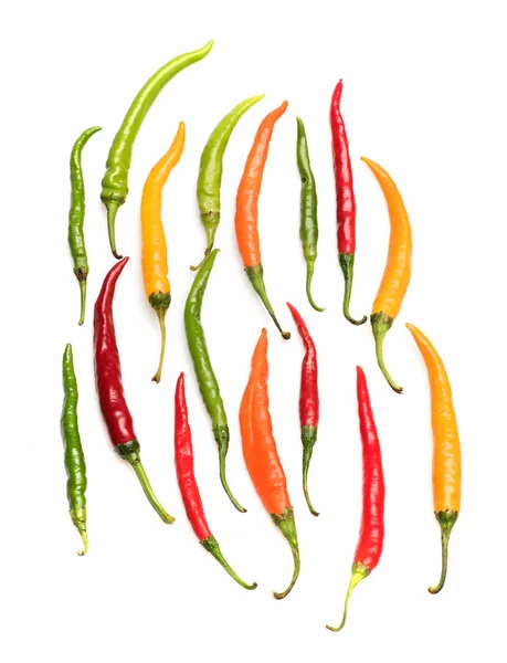 Colorful fresh vegetable, capsicum, chilly pepper isolated on white background — Stock Photo, Image