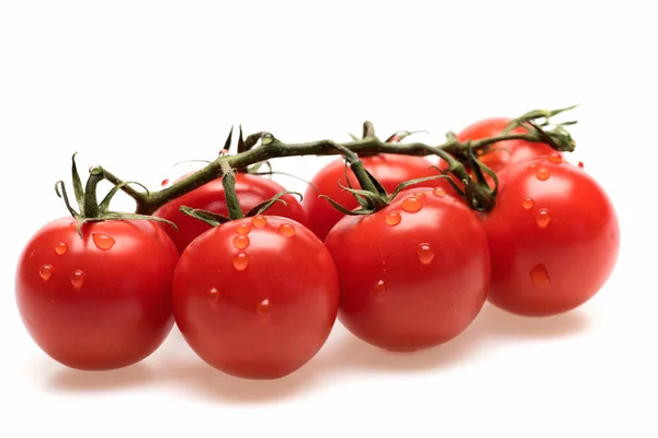 Vegetal fresco, tomate cereza aislado sobre fondo blanco — Foto de Stock