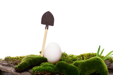 Paskalya yortusu yumurta beyaz renk kürek üzerinde moss ile