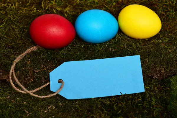 Ovos coloridos de Páscoa pintados com etiqueta de compras no musgo verde — Fotografia de Stock
