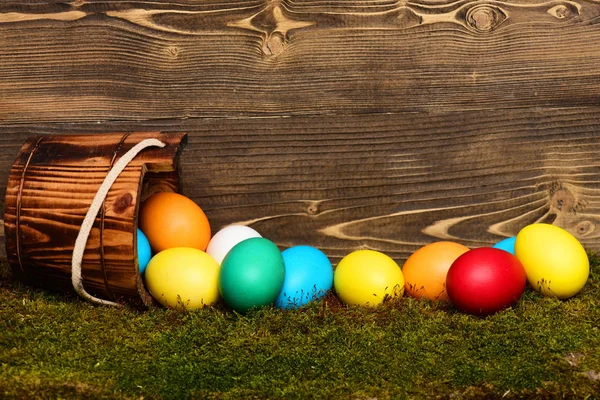 Huevos coloridos de Pascua pintados en cubo de madera con musgo verde —  Fotos de Stock