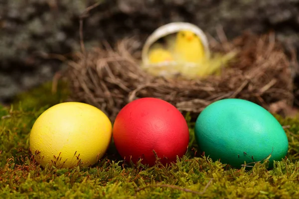 Huevos de colores en el musgo. Feliz concepto de Pascua —  Fotos de Stock