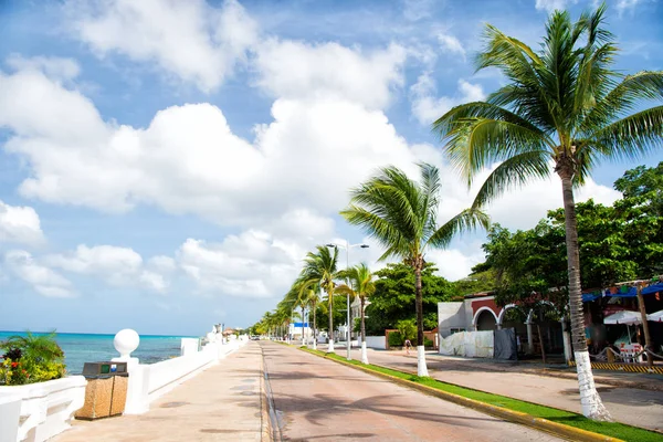 Strada con lungomare vicino a palme verdi, Cozumel, Messico — Foto Stock