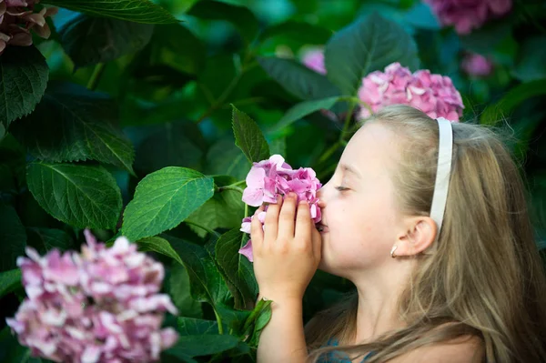 Маленька дівчинка з усміхненим обличчям серед квітки рожевої гортензії — стокове фото