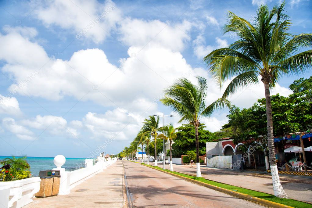 street road with waterfront near green palm trees, Cozumel, Mexico