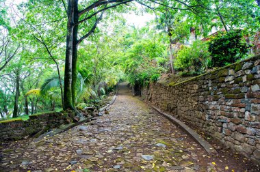 çakıl, tropikal orman ahşap veya yağmur ormanları arasında taşlı yol