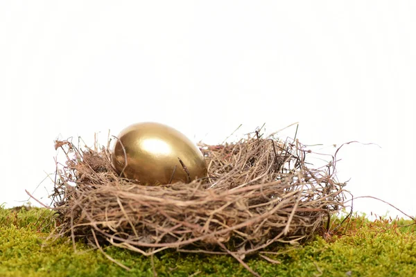 Золотое яйцо внутри маленького гнезда. Happy Easter — стоковое фото
