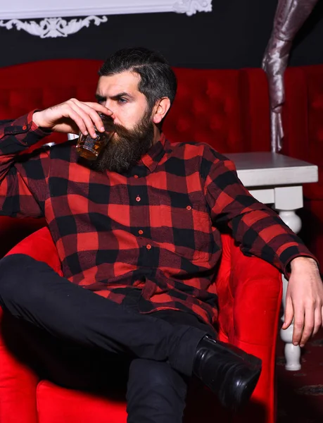 Hombre barbudo hipster sosteniendo vaso de whisky en silla roja —  Fotos de Stock