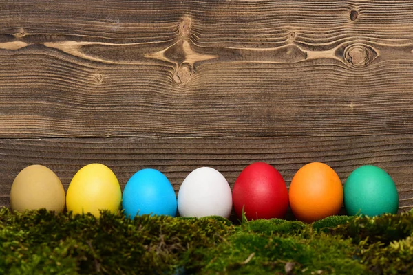 Painted easter colorful eggs with green moss on wooden background — Stock Photo, Image