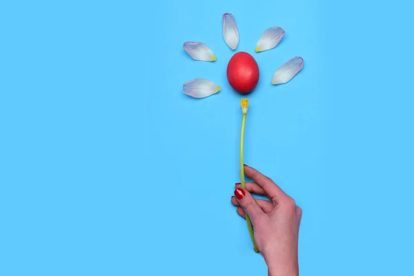 Röda målade påskägg och våren tulip blomma på blå — Stockfoto