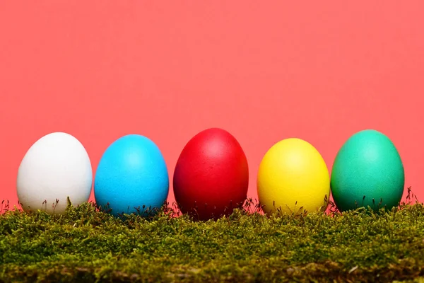 Huevos coloridos de Pascua pintados con musgo verde sobre fondo rojo — Foto de Stock