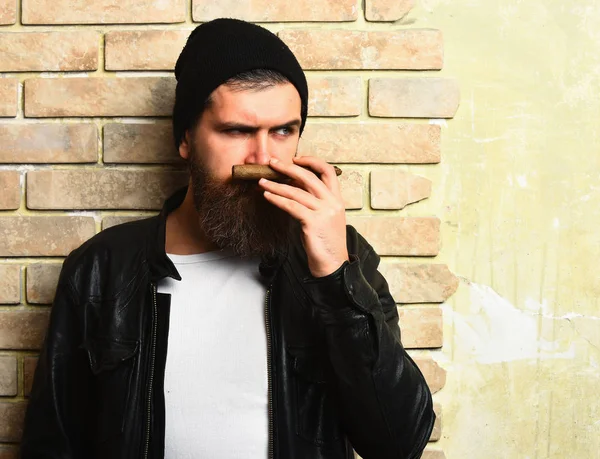 Bärtiger brutaler kaukasischer Hipster, der Zigarre raucht — Stockfoto