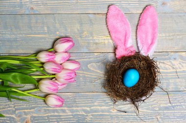 geleneksel yumurta pembe güzel Lale mavi renkle boyanmış