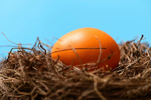 Птичье гнездо с традиционным оранжевым яйцом, пасхальный праздник — стоковое фото