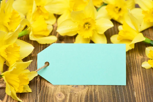 stock image blue tag, yellow narcissus, spring flower bouquet, womens, mothers day