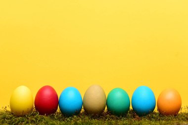 renkli yumurta Sarı zemin üzerine yeşil yosun ile boyalı