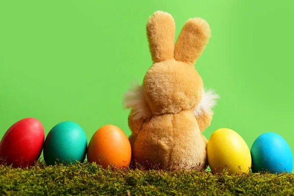 Jouet de lapin, oeufs de Pâques peints sur mousse et fond vert — Photo