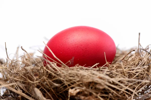 Традиционное яйцо окрашено в красный цвет внутри гнезда — стоковое фото