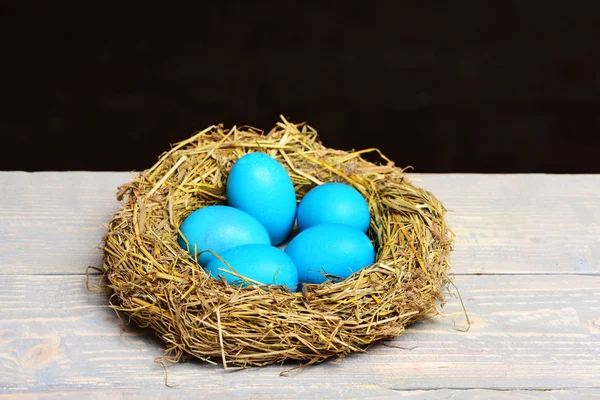 siyah arka plan üzerine kuş mavi yumurta yuva Paskalya boyalı