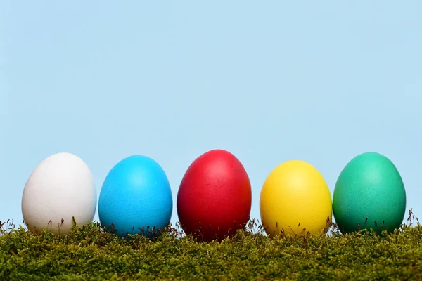 Huevos coloridos de Pascua pintados con musgo verde sobre fondo azul —  Fotos de Stock