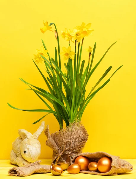 Easter rabbit, spring yellow narcissus, golden egg and thread — Stock Photo, Image