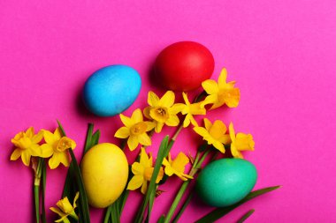 Pembe arka planda sarı narsisli renkli Paskalya yumurtaları