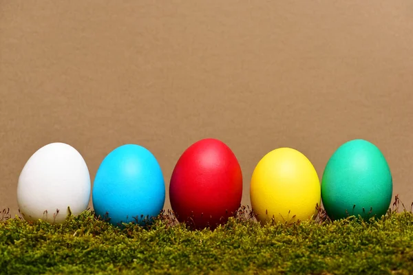 Huevos coloridos de Pascua pintados con musgo verde sobre fondo marrón —  Fotos de Stock