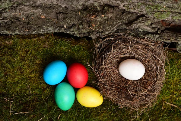 Zestaw kolorowych jaj. Szczęśliwej koncepcji Wielkanoc — Zdjęcie stockowe