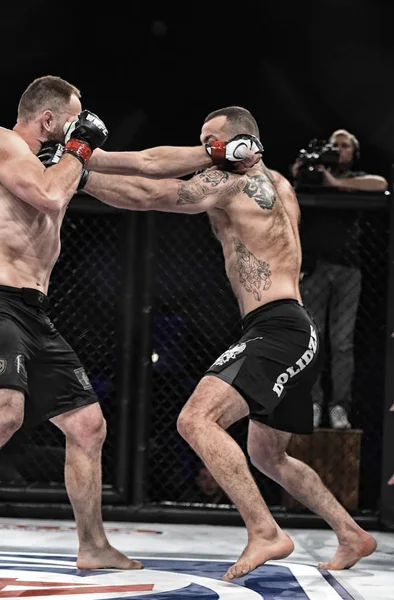 Şu yüzüğe MMA fighters mücadele