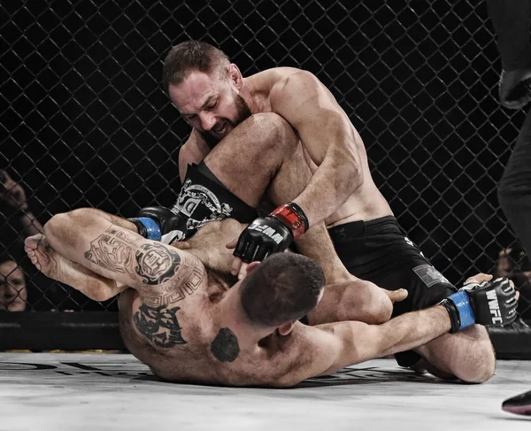 Şu yüzüğe MMA fighters mücadele