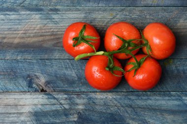 domates asma üzerinde. Pazar sebze kavramı. Mavi vintage ahşap arka plan