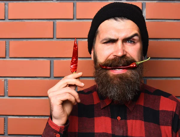 Uomo barbuto, brutale hipster caucasico strizzacervelli con pepe rosso — Foto Stock