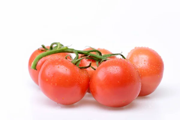 Tomatoes. Red ripe vegetable plant on branch — Stock Photo, Image