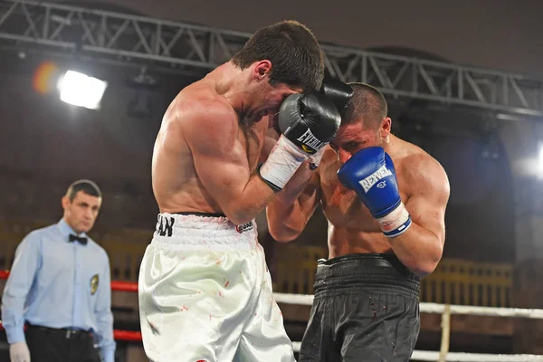 boksörler sıralaması için kavga sırasında halka