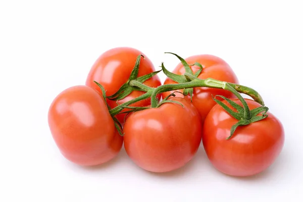 Tomates em videira — Fotografia de Stock