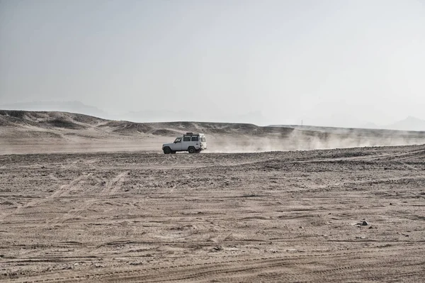 Witte safari jeep Auto in zandduin — Stockfoto