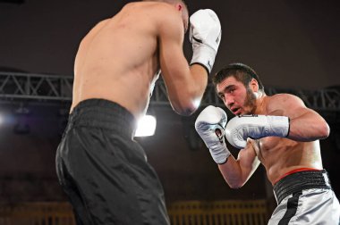 boksörler sıralaması için kavga sırasında halka