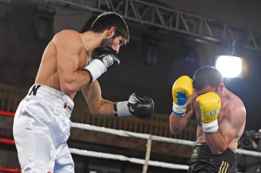 boksörler sıralaması için kavga sırasında halka