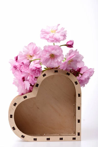 Rosa flor de cerezo sakura, caja del corazón aislado sobre fondo blanco —  Fotos de Stock