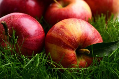 diyet ve sağlıklı yiyecekler, vejetaryen ve vitamin, bahçe ve tarım,