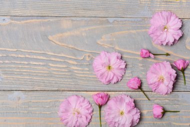 Kiraz ağacı ya da sakura çiçeği, çiçek tasarımı, Japon bahçesi