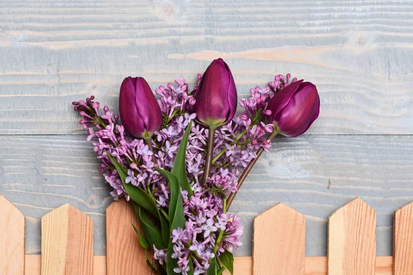 Tulipanes morados con flores lila en azul vintage — Foto de Stock