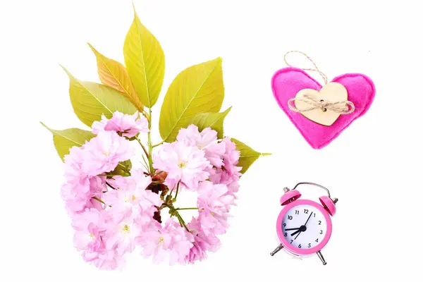 Sakura flores e despertador rosa com coração macio rosa — Fotografia de Stock