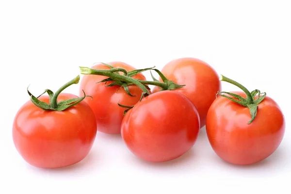 Ripe tomatoes plant isolated on white — Stock Photo, Image