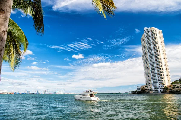 Downtown Miami along Biscayne Bay with condos and office buildings, yacht sailing in the bay — Stock Photo, Image