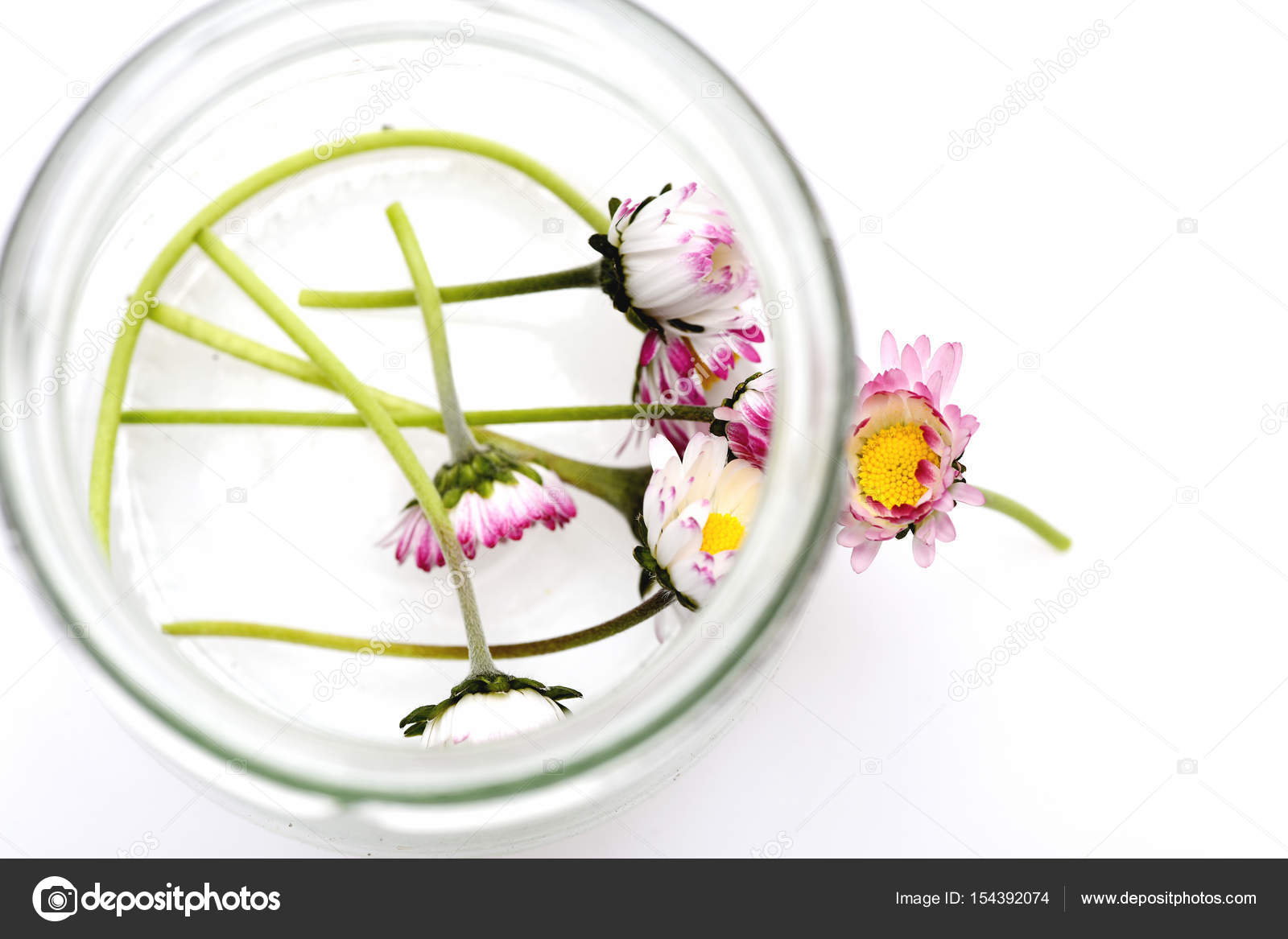 Top View On Light Tender Daisy Flowers Inside Transparent Vase