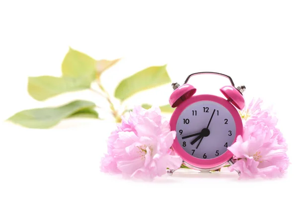 Relógio de alarme rosa e composição flor sakura — Fotografia de Stock