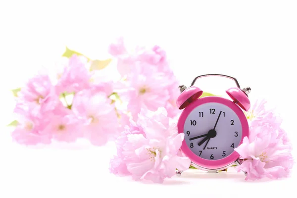 Vintage väckarklocka i sakura blossom isolerad på vit — Stockfoto