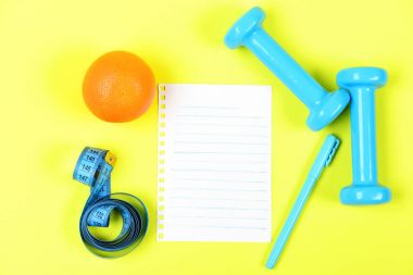 Not Defteri sayfası ve turuncu meyve yakınındaki mavi kalem ve halter