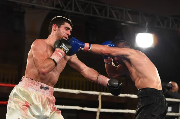 boksörler sıralaması için kavga sırasında halka